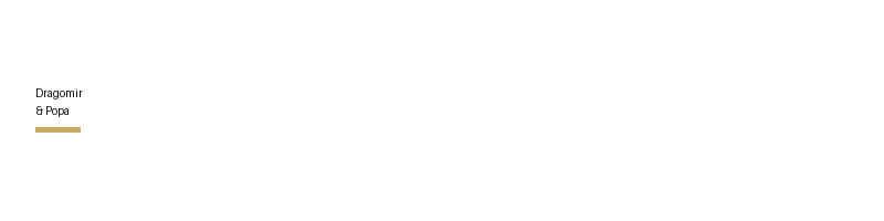 Dragomir & Popa logo